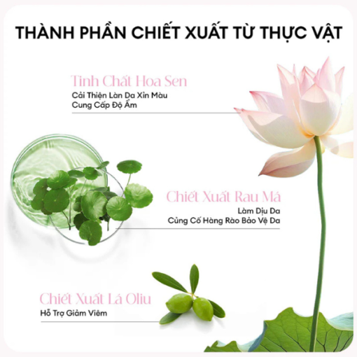 Sữa Rửa Mặt Colorkey Luminous Lotus Brightening Clay Cleanser - Hình ảnh 4